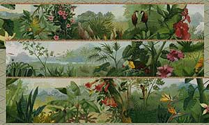 Jungle Set Download in two parts